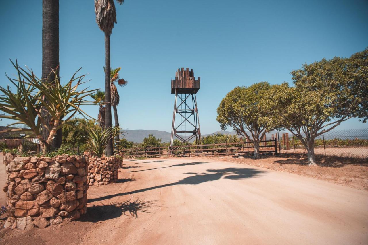 Hotel Castillo Ferrer Valle de Guadalupe Exteriör bild