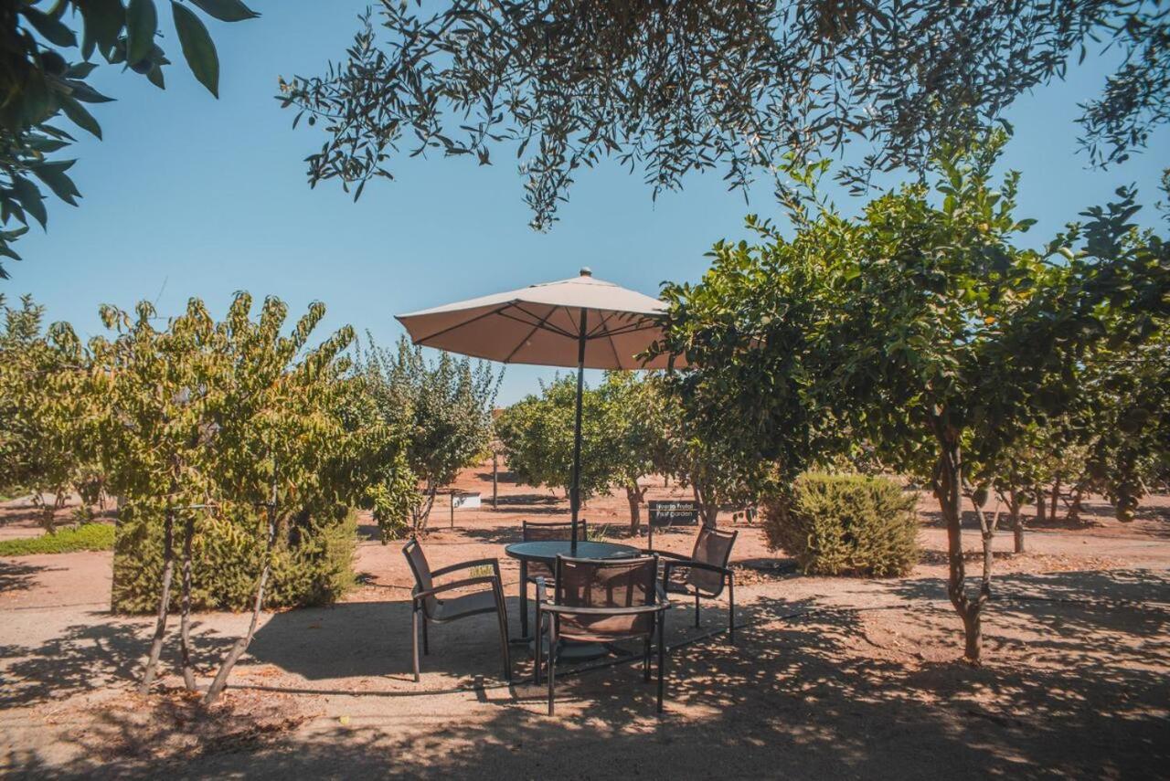 Hotel Castillo Ferrer Valle de Guadalupe Exteriör bild